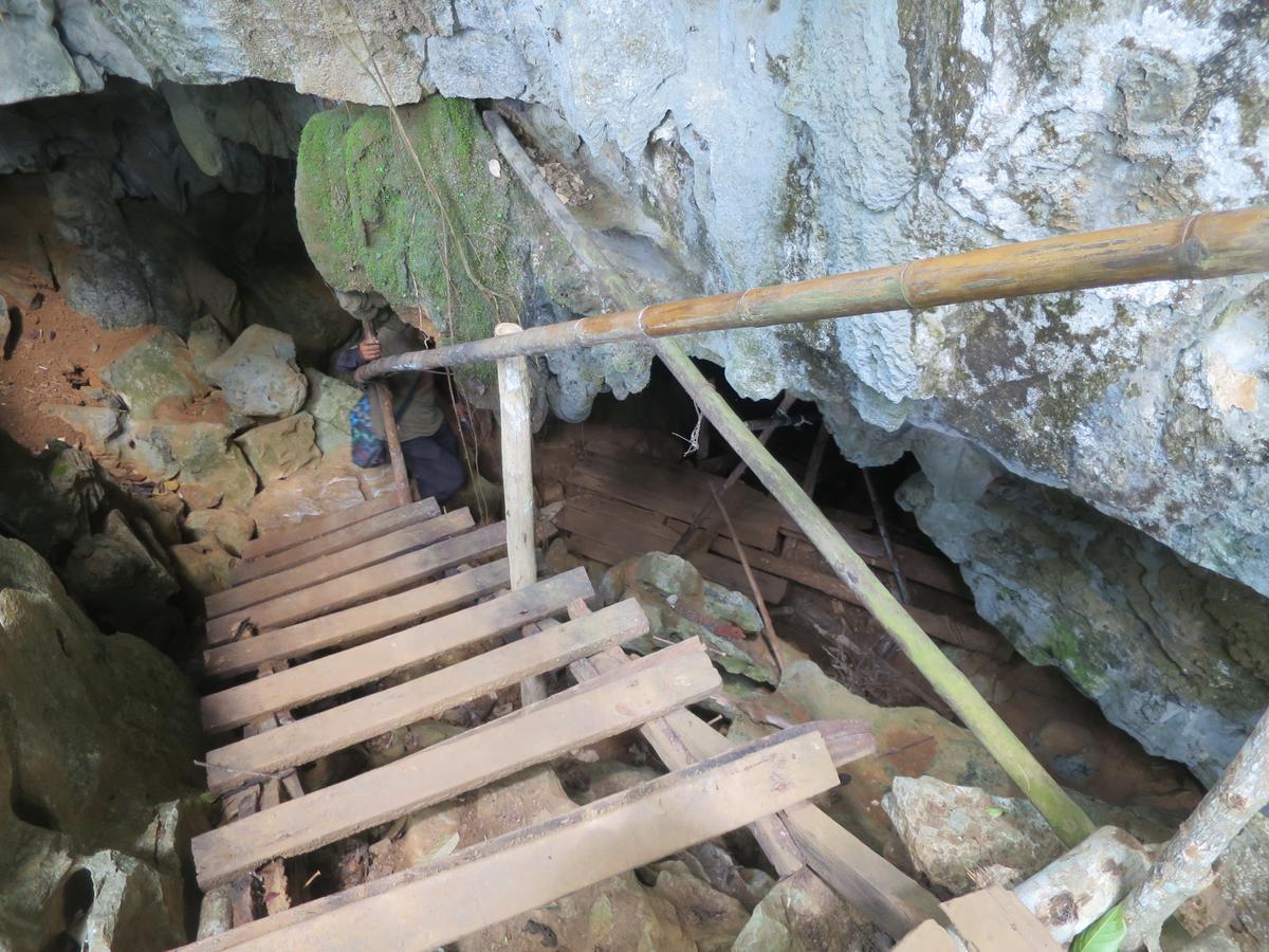 Elephant Adventure Village Tree House Vang Vieng Εξωτερικό φωτογραφία