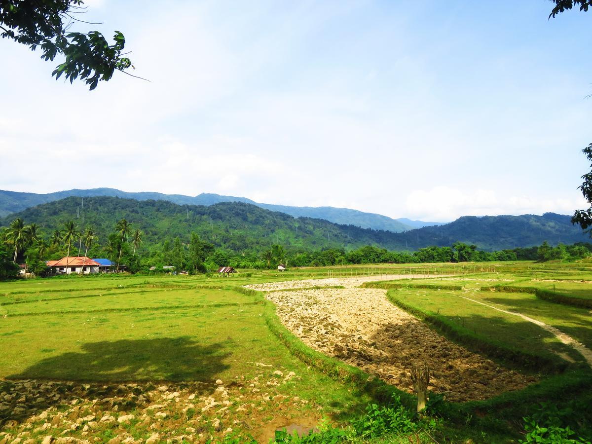 Elephant Adventure Village Tree House Vang Vieng Εξωτερικό φωτογραφία